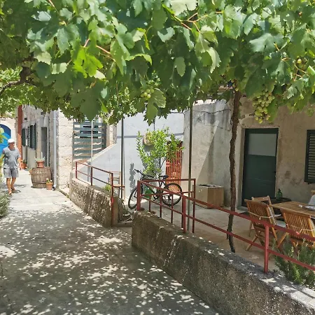 Bosko * Betina (Sibenik-Knin)